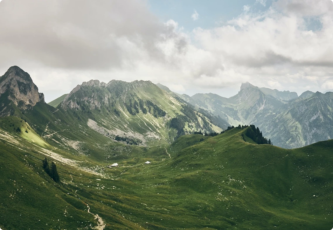 banner_mobile